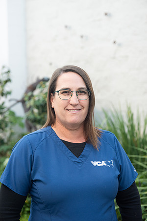 VCA_RP_62