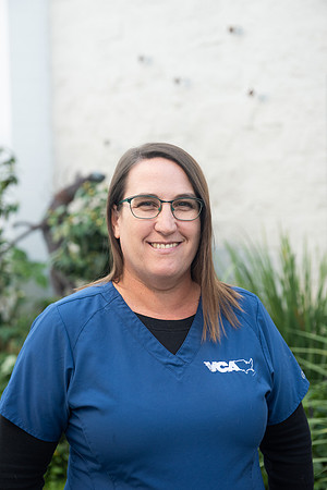 VCA_RP_67