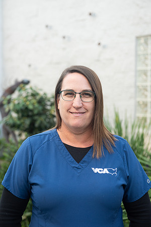 VCA_RP_68