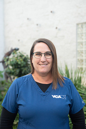 VCA_RP_69