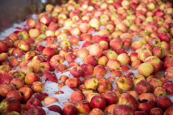 Manzana_05_LR_2023
