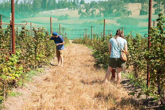 BoringFarms_12
