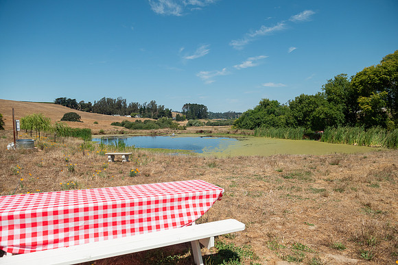 BoringFarms_54