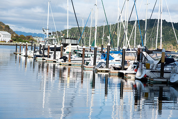 LRosePhoto_006