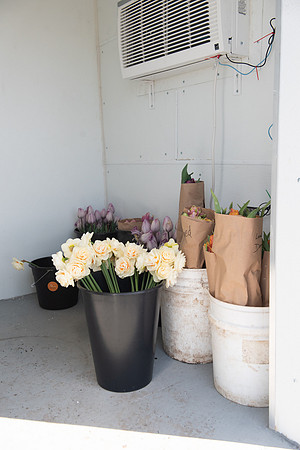 PopPet_LR_2023_65