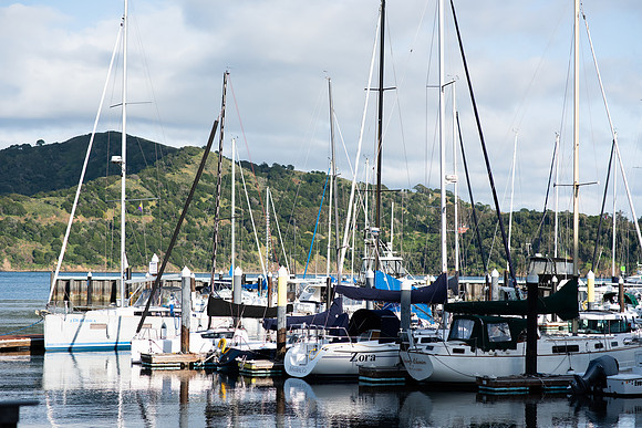 LRosePhoto_001