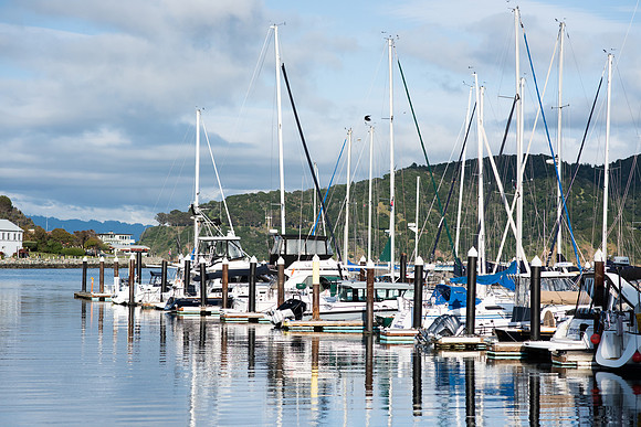 LRosePhoto_005