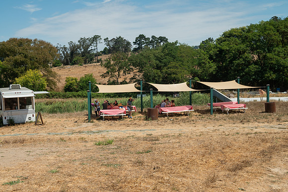 BoringFarms_48