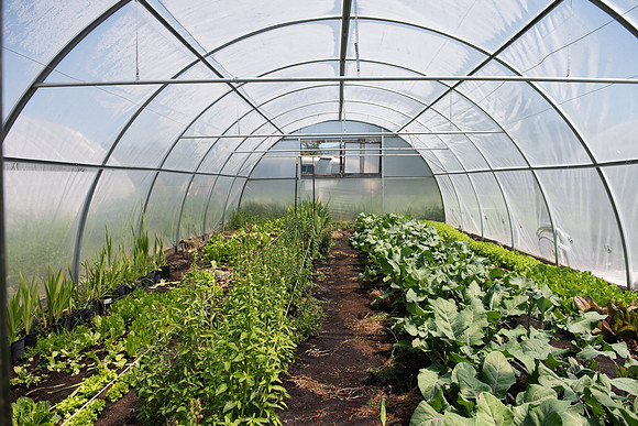 DeepRoots_April 2024_LR_08