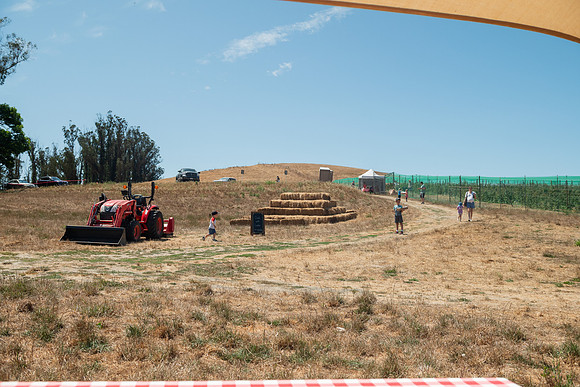BoringFarms_56