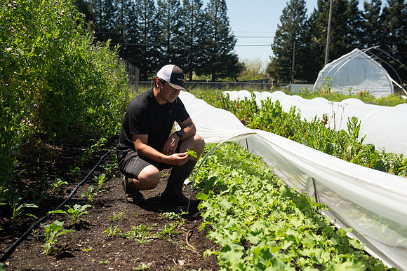 DeepRoots_April 2024_LR_21