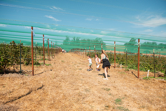 BoringFarms_08