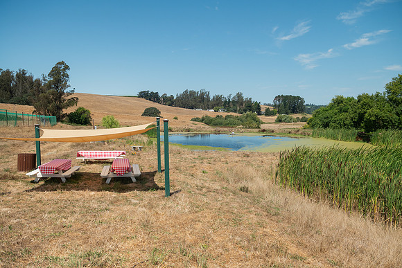 BoringFarms_52