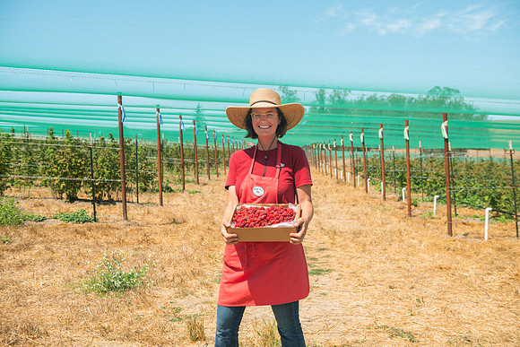 BoringFarms_03