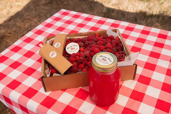 BoringFarms_43