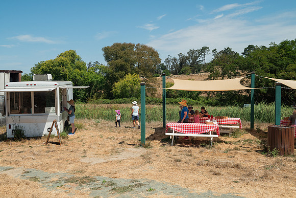BoringFarms_49