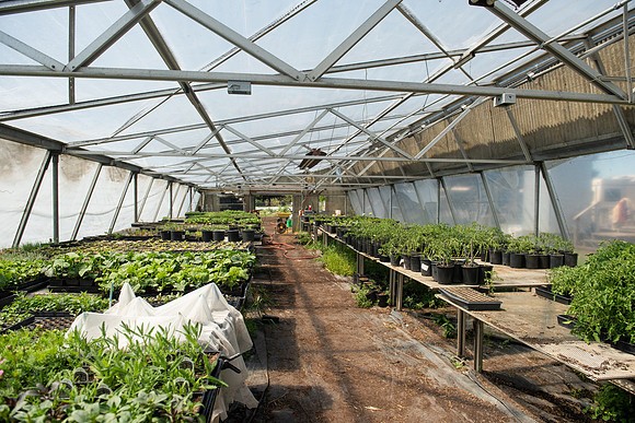 DeepRoots_April 2024_LR_29