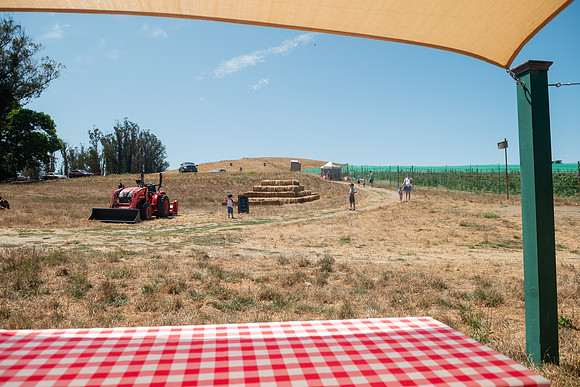 BoringFarms_53