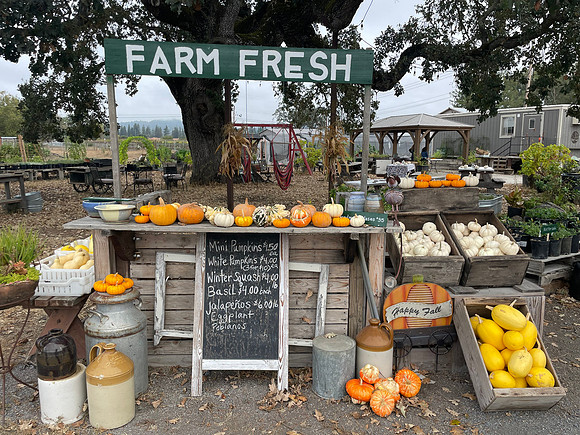 TFP_172