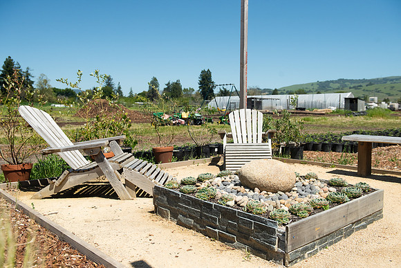 DeepRoots_April 2024_LR_03