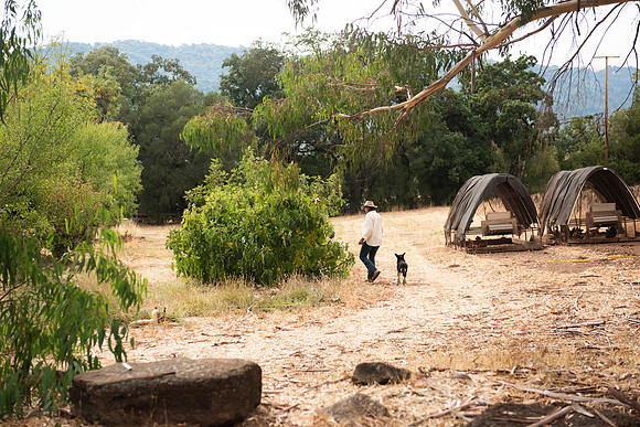 OakHill_37_LR_2023