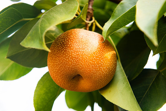 Earthseed_63_LR_2023