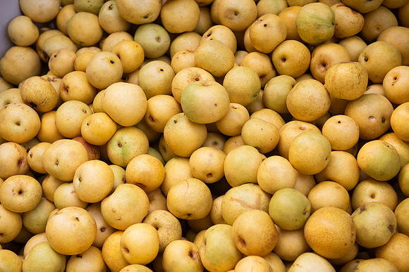 Earthseed_67_LR_2023