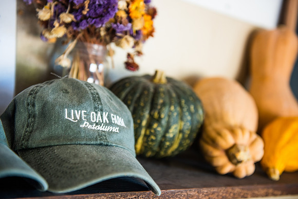LOHarvest19_008