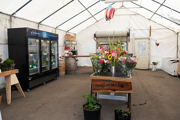 DeepRoots_April 2024_LR_01