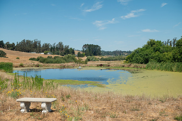 BoringFarms_55