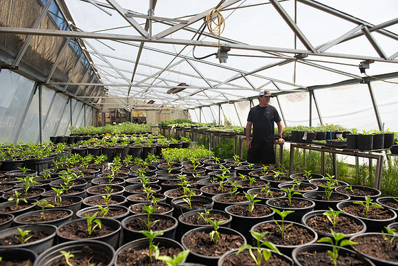 DeepRoots_April 2024_LR_26