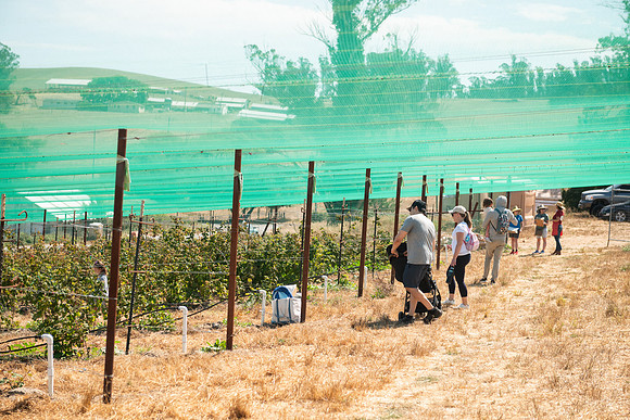 BoringFarms_09