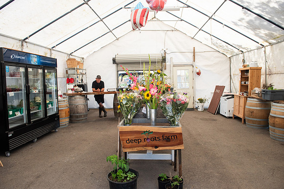 DeepRoots_April 2024_LR_41