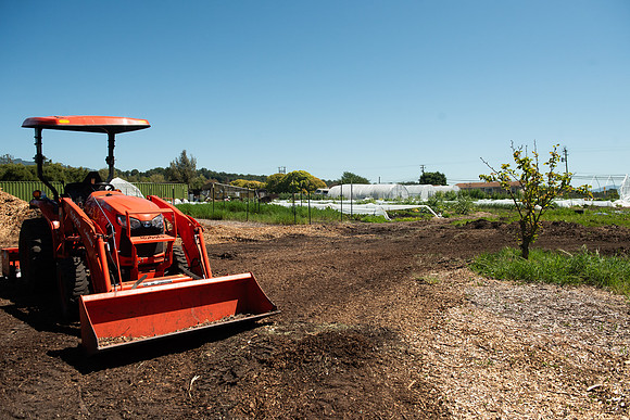 DeepRoots_April 2024_LR_40