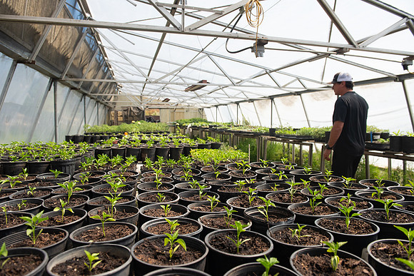 DeepRoots_April 2024_LR_25