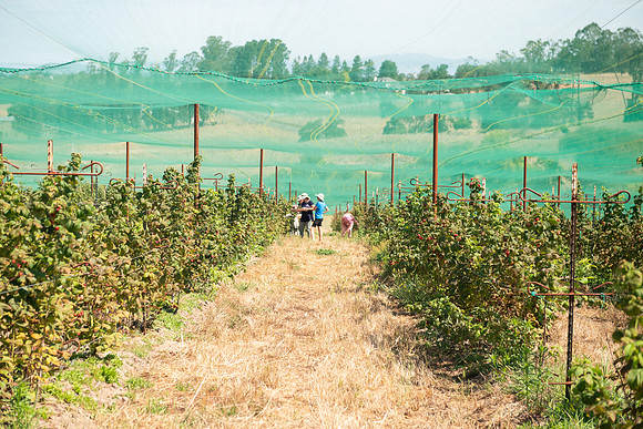 BoringFarms_14