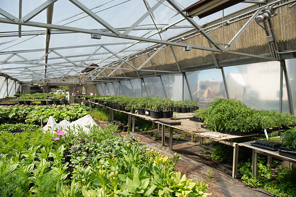 DeepRoots_April 2024_LR_30