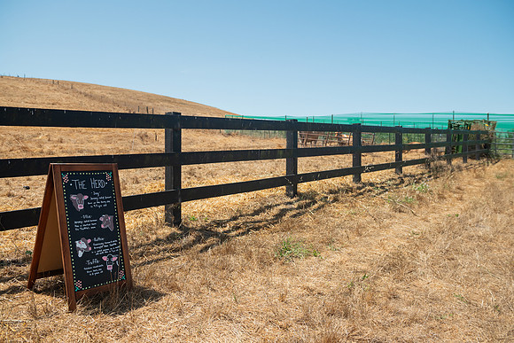 BoringFarms_61