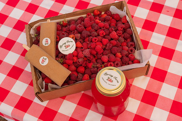 BoringFarms_44