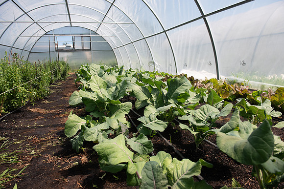 DeepRoots_April 2024_LR_07