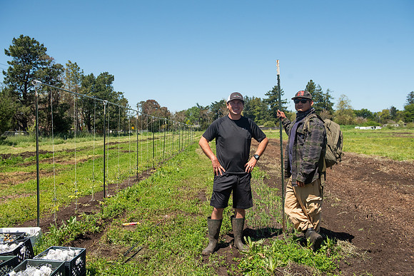DeepRoots_April 2024_LR_34
