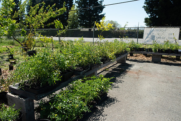 DeepRoots_April 2024_LR_39