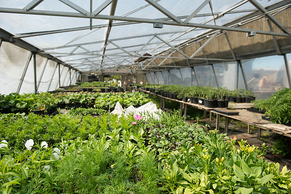 DeepRoots_April 2024_LR_31