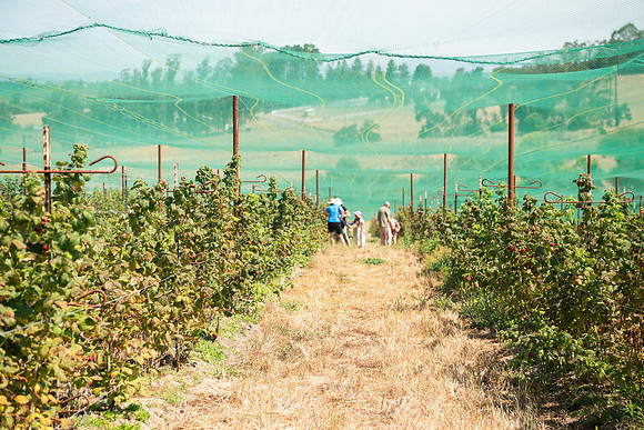 BoringFarms_15
