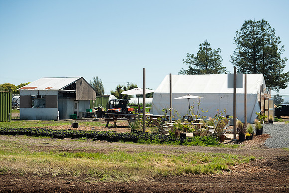 DeepRoots_April 2024_LR_33