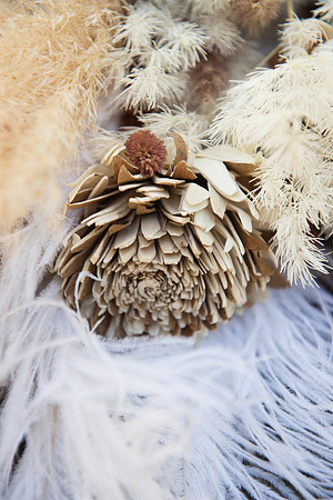 MBW_088(med)