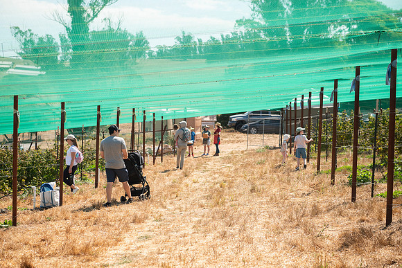 BoringFarms_10