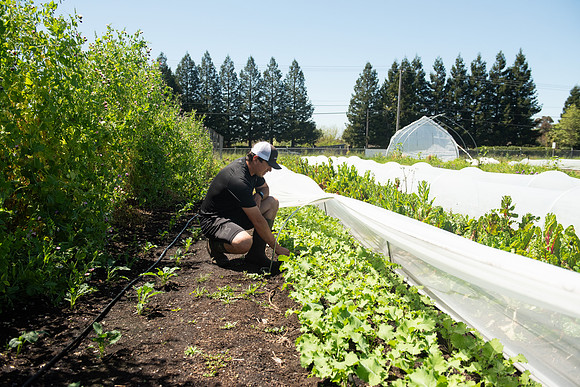 DeepRoots_April 2024_LR_20