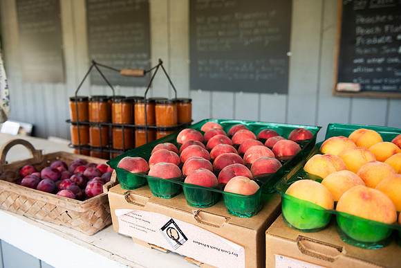 DryCreekPeach_LR_2023_46