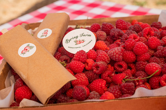 BoringFarms_45
